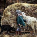 Πρόταση για το Ταμείο Εγγυοδοσίας