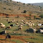 ΕΛΛΑΔΑ Κορονοϊός: 102 θάνατοι και 579 διασωληνωμένοι – 1.382 νέα κρούσματα-68 στην Περιφέρεια