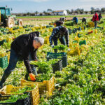 Mέχρι αύριο Δευτέρα οι αιτήσεις για πάνω από 10.000cπροσλήψεις στο Δημόσιο