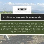 Ο Αντίκτυπος της Δημογραφικής Αλλαγής στην Ελλάδα (Άρθρο του βουλευτή Γρεβενών Θανάση Σταυρόπουλου)