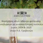 Στεγαστικό: Φθηνά σπίτια για 2.500 ευάλωτα νοικοκυριά – Τι προβλέπει το νομοσχέδιο